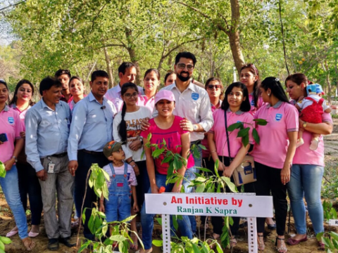 Planting trees initiatives