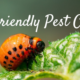 eco-friendly pest control