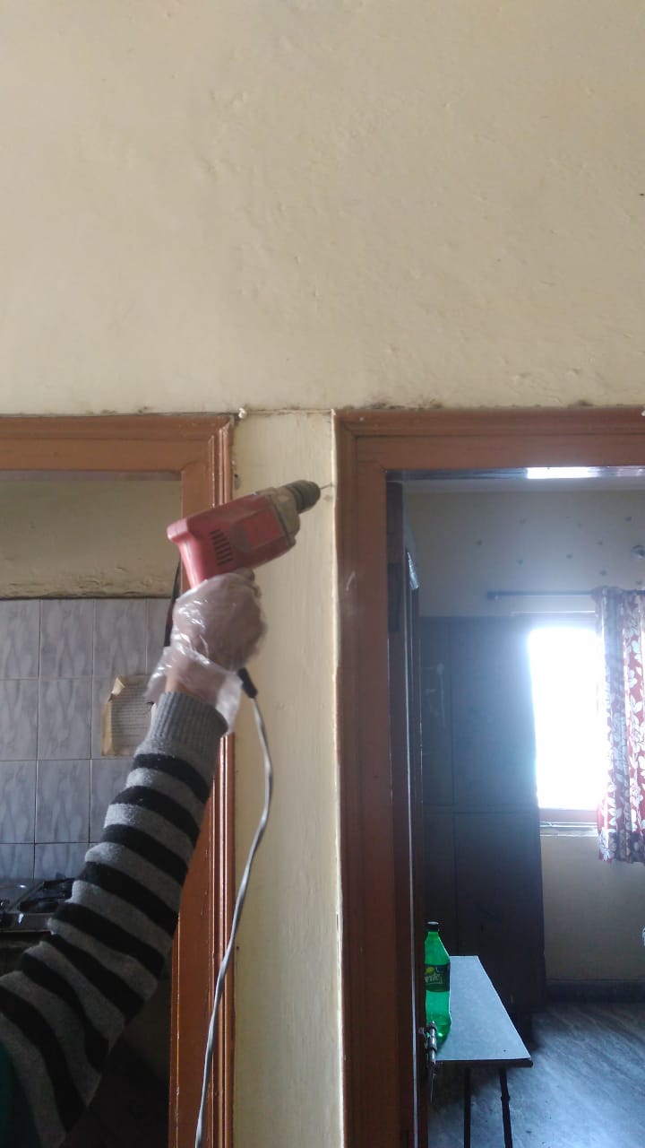 Renovation  Termite Treatment