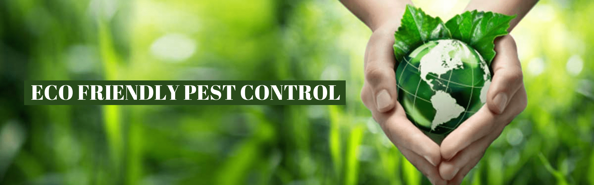 Eco Friendly Pest Control Best Pest Control Services In Delhi Ncr   2153ddbdea57d94c0a632ec7881b5319 