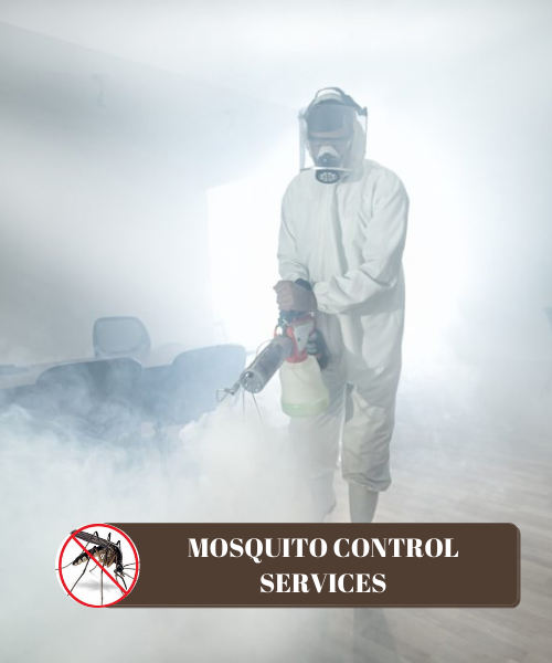 Mosquitoes Management