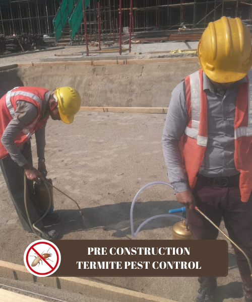 Pre Construction Termite Treatment