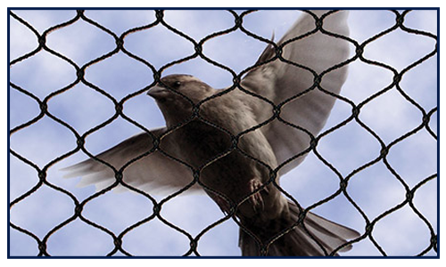 Bird Away Net